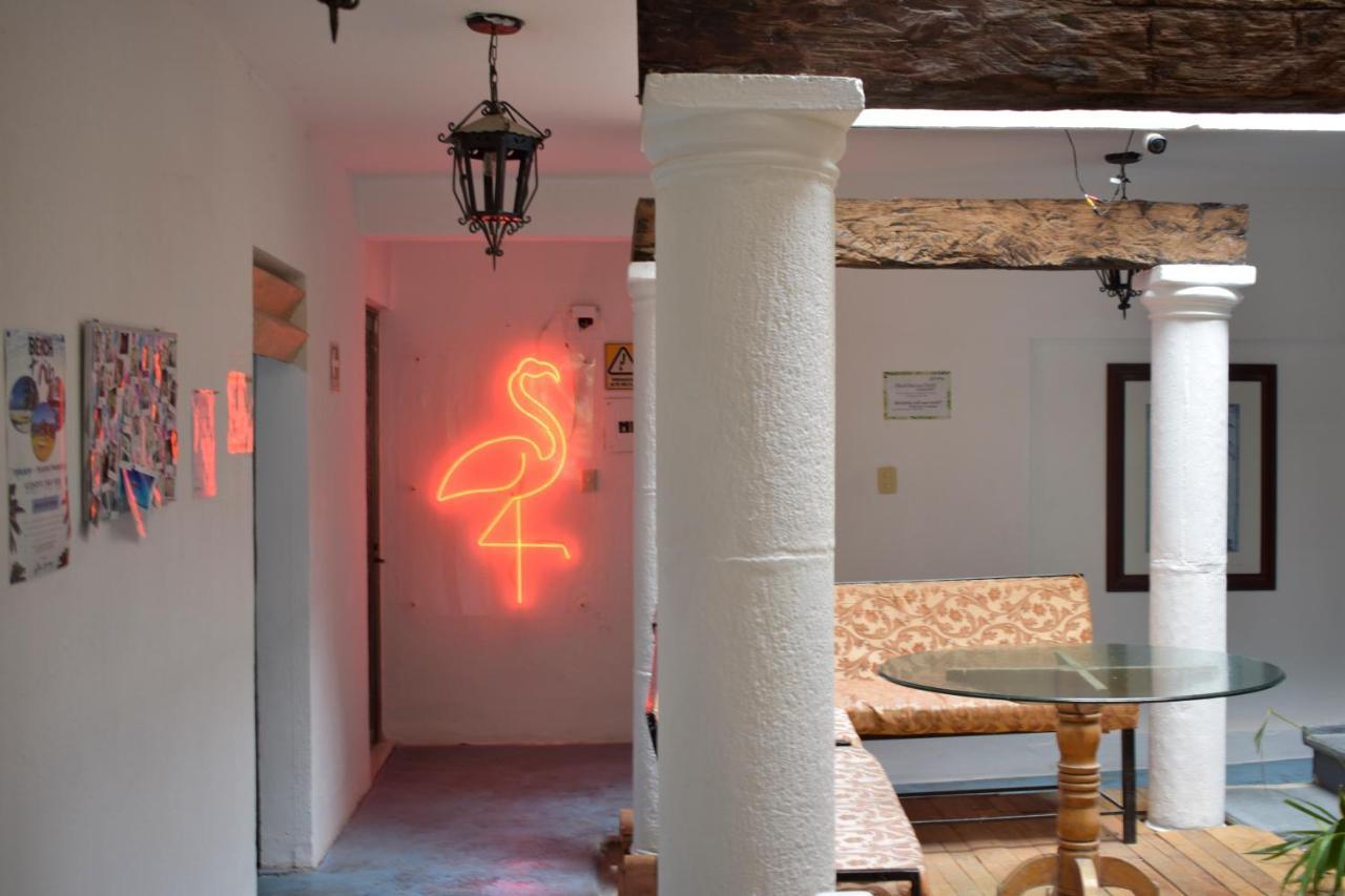 Macarena Hotel كانكون المظهر الخارجي الصورة
